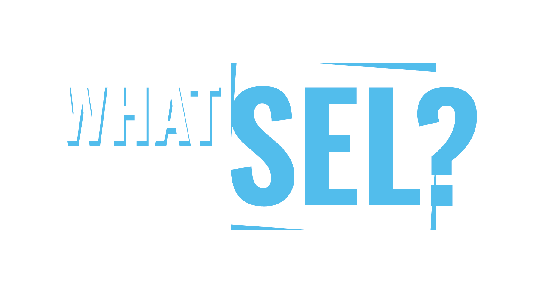 What is SEL?